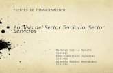 FUENTES DE FINANCIAMIENTO Análisis del Sector Terciario: Sector Servicios Barbara García Aporte1181811 Edna Caballero Iglesias1181486 Alberto Robles Hernández1181332.