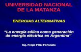 UNIVERSIDAD NACIONAL DE LA MATANZA ENERGIAS ALTERNATIVAS La energía eólica como generación de energía eléctrica en Argentina Ing. Felipe Félix Fortunato.