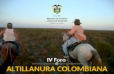 IV Foro ALTILLANURA COLOMBIANA IV Foro ALTILLANURA COLOMBIANA.