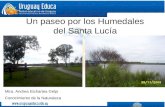 Un paseo por los Humedales del Santa Lucía Mtra. Andrea Etchartea Gelpi Conocimiento de la Naturaleza.