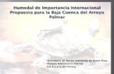 Humedal de Importancia Internacional Propuesta para la Baja Cuenca del Arroyo Palmar Secretaría de Medio Ambiente de Entre Ríos Parque Nacional El Palmar.