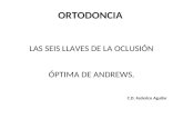 ORTODONCIA LAS SEIS LLAVES DE LA OCLUSIÓN ÓPTIMA DE ANDREWS. C.D. Federico Aguilar.