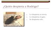 ¿Quién despierta a Rodrigo? a. Lo despierta su novia. b. Lo despierta el gato. c. Se despierta solo.
