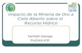 Impacto de la Minería de Oro a Cielo Abierto sobre el Recurso Hídrico Yamileth Astorga ProGAI/UCR.