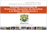 Teresa Rodas Cuenca VICEPREFECTA DE LA PROVINCIA DE EL ORO Procesos Provinciales de Protección (Garantía) de Derechos a la Niñez, Adolescencia y Juventudes.