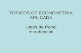 TOPICOS DE ECONOMETRIA APLICADA Datos de Panel Introducción.