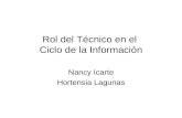 Ciclo De La Información - Nancy Icarte y Hortensia Lagunas