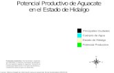 Principales Ciudades Cuerpos de Agua Estado de Hidalgo Potencial Productivo Potencial productivo: Son las áreas o regiones que delimitan, la máxima formación.