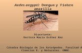 Aedes aegypti: Dengue y Fiebre amarilla Disertante: Doctora María Esther Bar Cátedra Biología de los Artrópodos. Facultad de Ciencias E. y Naturales. UNNE.