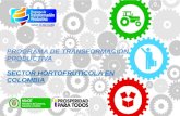 PROGRAMA DE TRANSFORMACIÓN PRODUCTIVA SECTOR HORTOFRUTÍCOLA EN COLOMBIA.