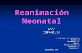 Reanimación Neonatal ASSEINFAMILIA LICENCIADAS EN ENFERMERIA Braida. M Fernández. OC Isabel Montes de Oca. R Turcatti. K Trucelli.C NOVIEMBRE 2009.