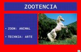 ZOOTENCIA ZOON: ANIMAL TECHNIA: ARTE 1. ARTE CONJUNTO DE PRECEPTOS, NORMAS, METODOS Y TÉCNICAS NECESARIAS PARA HACER BIEN LAS COSAS. POSTERIORMENTE CON.
