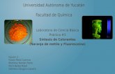 Universidad Autónoma de Yucatán Facultad de Química Laboratorio de Ciencia Básica Práctica #3 Síntesis de Colorantes (Naranja de metilo y Fluoresceína)