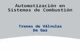 Automatización en Sistemas de Combustión Trenes de Válvulas De Gas.