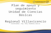 Plan de apoyo y seguimiento Unidad de Ciencias Básicas Regional Villavicencio Coordinador: Ing. Geny Cárdenas García.