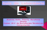 Presentacion guia de laboratorio kelin tifany iii 2