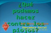 ¿Qué podemos hacer contra los piojos? Ana Pérez Vizcayno Educadora Social en el CEIP FILÓSOFO SÉNECA (curso 2010-2011)