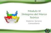 Modulo III Sintagma del Marco Teórico Materia: Servicio Comunitario.