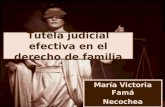 Tutela judicial efectiva en el derecho de familia María Victoria Famá Necochea Abril de 2011.