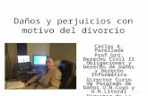 Daños y perjuicios con motivo del divorcio Carlos A. Parellada Prof.Ord. Derecho Civil II Obligaciones y Derecho de Daños y Derecho Informático Director.