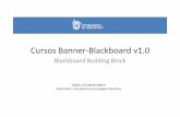 Banner Blackboard B2 v1.0
