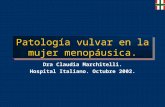 Patología vulvar en la mujer menopáusica. Dra Claudia Marchitelli. Hospital Italiano. Octubre 2002.