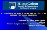 Azucena Rivero Rodríguez Abogada Directora del Dpto. de Derecho Laboral de HispaColem Miembro de Hispajuris EL EXPEDIENTE DE REGULACIÓN DE EMPLEO (ERE)