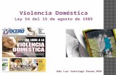 Ada Luz Santiago Rosas,MSN. Son innumerables las formas la violencia doméstica. Puede pensarse en violencia hacia los mayores, entre cónyuges, hacia los.