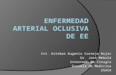 Int. Esteban Eugenio Cornejo Rojas Dr. José Mebold Internado De Cirugía Escuela de Medicina USACH.