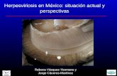 Herpesviriosis en México: situación actual y perspectivas Rebeca Vásquez-Yeomans y Jorge Cáceres-Martínez ISA.