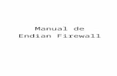Manual endian