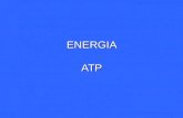 ENERGIA ATP. ENERGIA Definición: Definición: Constituyente básico del universo. Constituyente básico del universo. Relación entre la materia y su energía.