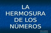 LA HERMOSURA DE LOS NÚMEROS Colabora con esta distribución: .