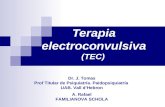Terapia electroconvulsiva (TEC) Dr. J. Tomas Prof Titular de Psiquiatría. Paidopsiquiatría UAB. Vall dHebron A. Rafael FAMILIANOVA SCHOLA.