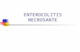 ENTEROCOLITIS NECROSANTE. Definición Es un problema gastrointestinal neonatal grave que se caracteriza por algún grado de necrosis de las vías gastrointestinales.