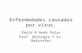 Enfermedades causadas por virus. Paula A Aedo Salas Prof. Biología Y Cs. Naturales.