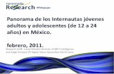 Panorama Jovenes y Teens en México. Febrero 2011