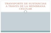 TRANSPORTE DE SUSTANCIAS A TRAVES DE LA MEMBRANA CELULAR.