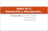 Integrantes: Javiera Escobar. Tamara López. Andrea Merino. Taller N°1: Sensación y Percepción.