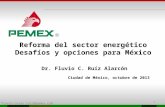 Fluvio.cesar.ruiz@pemex.com Reforma del sector energético Desafíos y opciones para México Dr. Fluvio C. Ruíz Alarcón Ciudad de México, octubre de 2013.