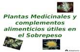 Plantas Medicinales y complementos alimenticios útiles en el Sobrepeso.