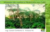 Manejo de suelos y Nutrición en Café. Ing. Cesar Centeno S. Enlasa Ni.