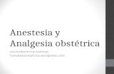 Anestesia y Analgesia obstétrica Luis Humberto Cruz Contreras Tomatetumedicina.wordpress.com.