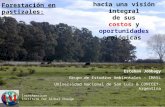 Forestación en pastizales: Esteban Jobbagy Grupo de Estudios Ambientales – IMASL Universidad Nacional de San Luis & CONICET- Argentina InterAmerican Institute.