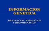 INFORMACION GENETICA REPLICACION, PEPARACION Y RECOMBINACION.