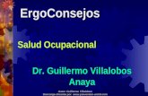 Autor: Guillermo Villalobos Descarga ofrecida por:  ErgoConsejos Salud Ocupacional Dr. Guillermo Villalobos Anaya.