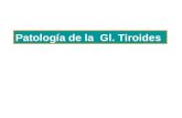 Patología de la Gl. Tiroides. Generalidades Bilobulada Desarrollo a partir de epitelio faríngeo descendido Cel foliculares Coloide Vasos conectivos Estado.