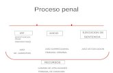 Proceso penal IPP (INVESTIGACION PENAL PREPARATORIA ) JUICIO EJECUCION DE SENTENCIA JUEZ DE GARANTÍAS JUEZ CORRECCIONAL TRIBUNAL CRIMINAL JUEZ DE EJECUCION.