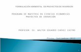 PROGRAMA DE MAESTRIA EN CIENCIAS ECONOMICAS PROYECTOS DE INVERSIÓN PROFESOR: Dr. WALTER EDUARDO CHÁVEZ CASTRO Piura, Setiembre 2012 1.