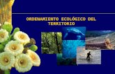 ORDENAMIENTO ECOLÓGICO DEL TERRITORIO. Ordenamiento Ecológico Objetivos Identificar un patrón de distribución de actividades sectoriales en el territorio.